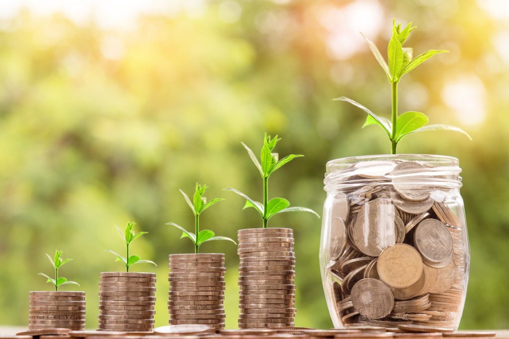 Die Menge an Geld wächst wie eine Pflanze